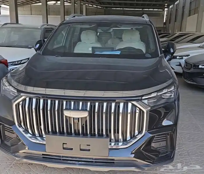 جيلي أوكافانجو 2025 0