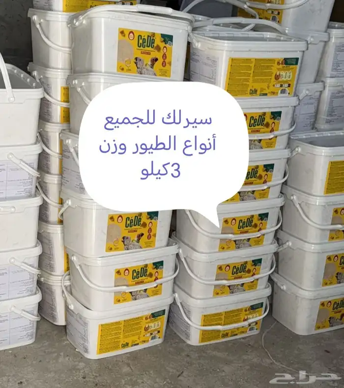 اكل بلبيل.و. وطيور واكل قطط 0