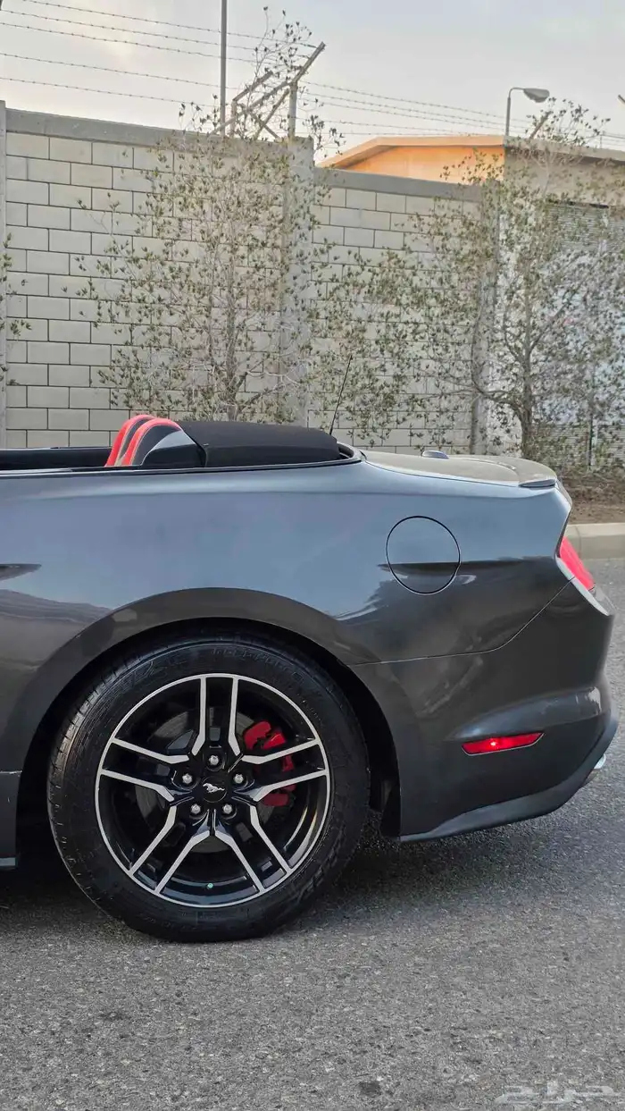 موستنج ايكوبوست V4 2020 كشف نضيف 10