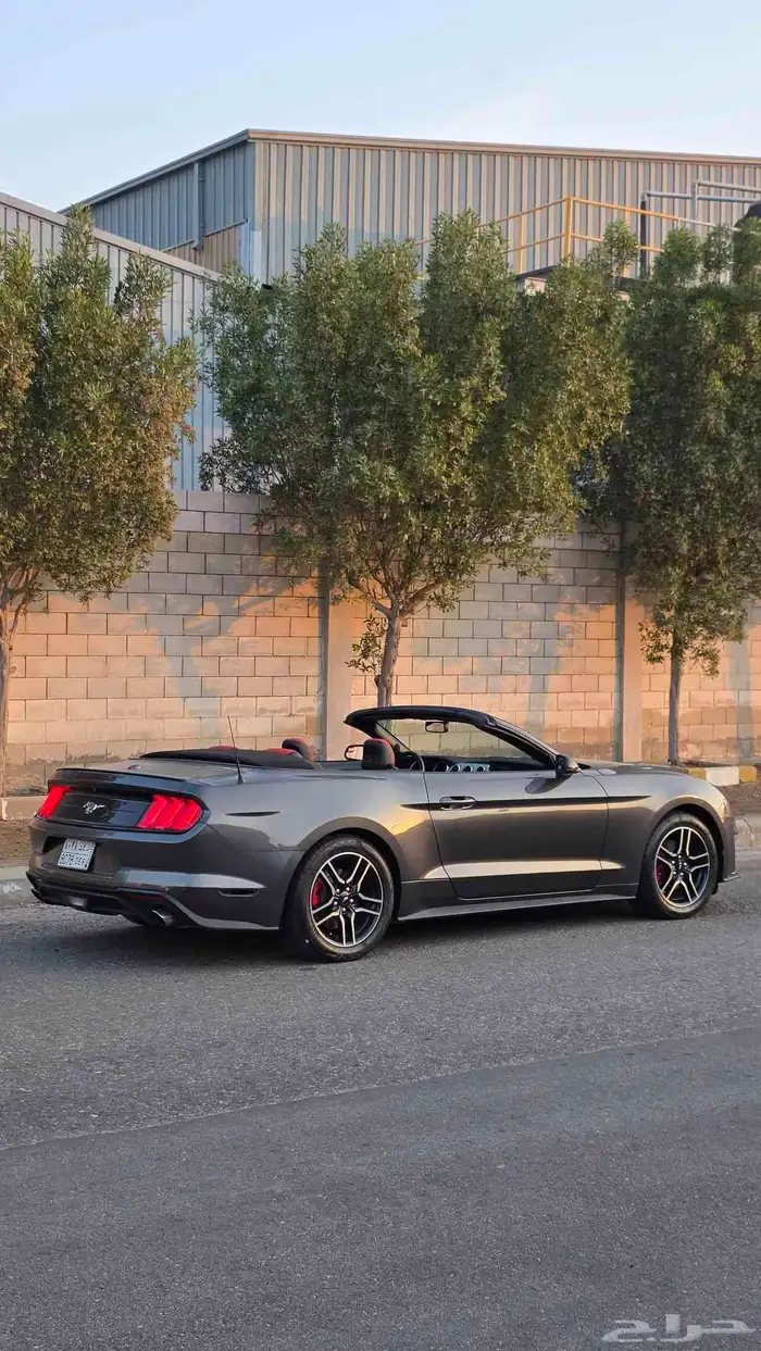 موستنج ايكوبوست V4 2020 كشف نضيف 5