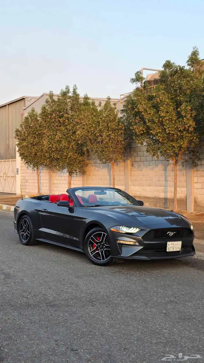 موستنج ايكوبوست V4 2020 كشف نضيف 4