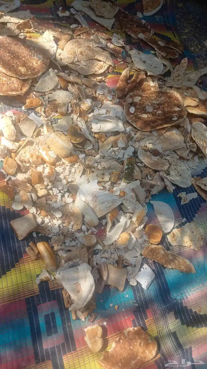 خبز اخياش وزن الخيشه 15 كيلو 0