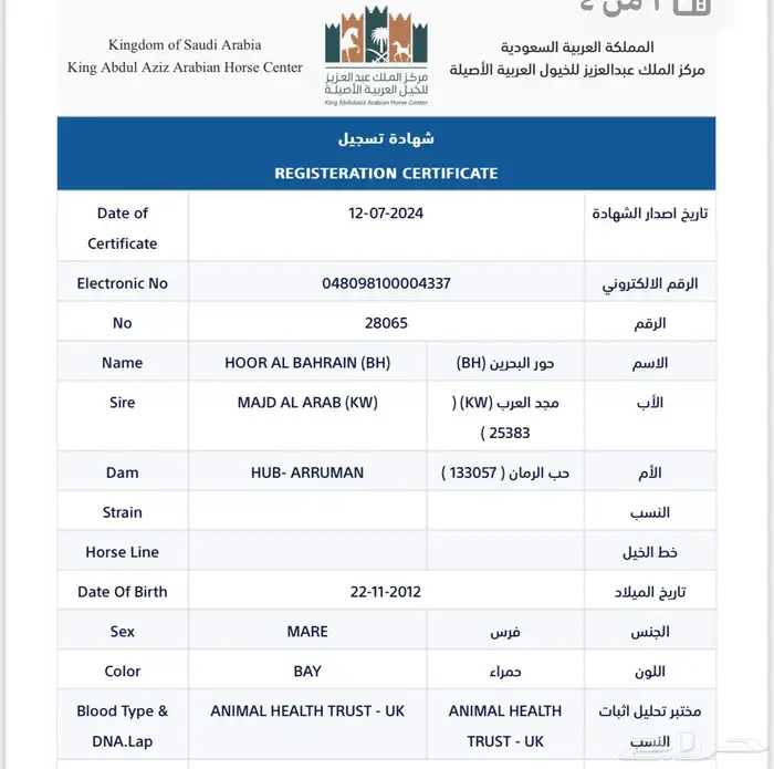 فرس واهو مستورده 2
