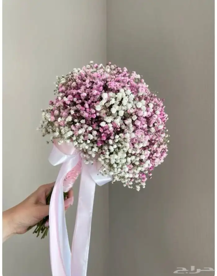 تنسيق حفلات 1