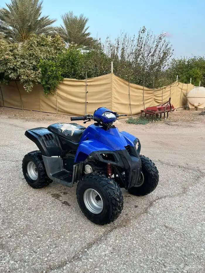 دباب تايواني مقاس110 0