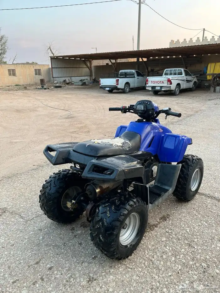 دباب تايواني مقاس110 3