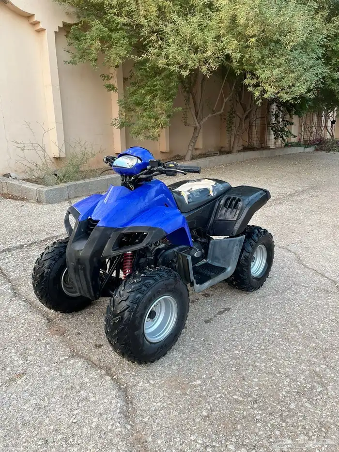 دباب تايواني مقاس110 1