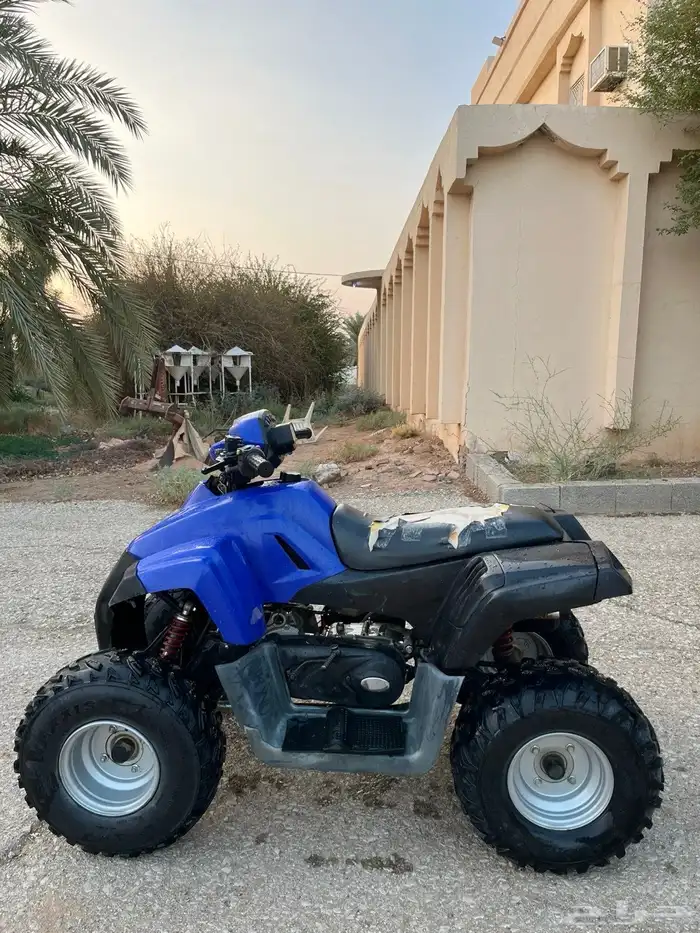 دباب تايواني مقاس110 5