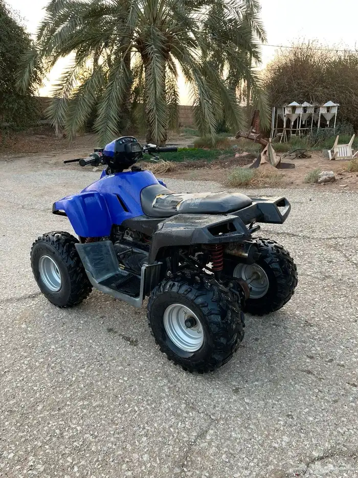 دباب تايواني مقاس110 2