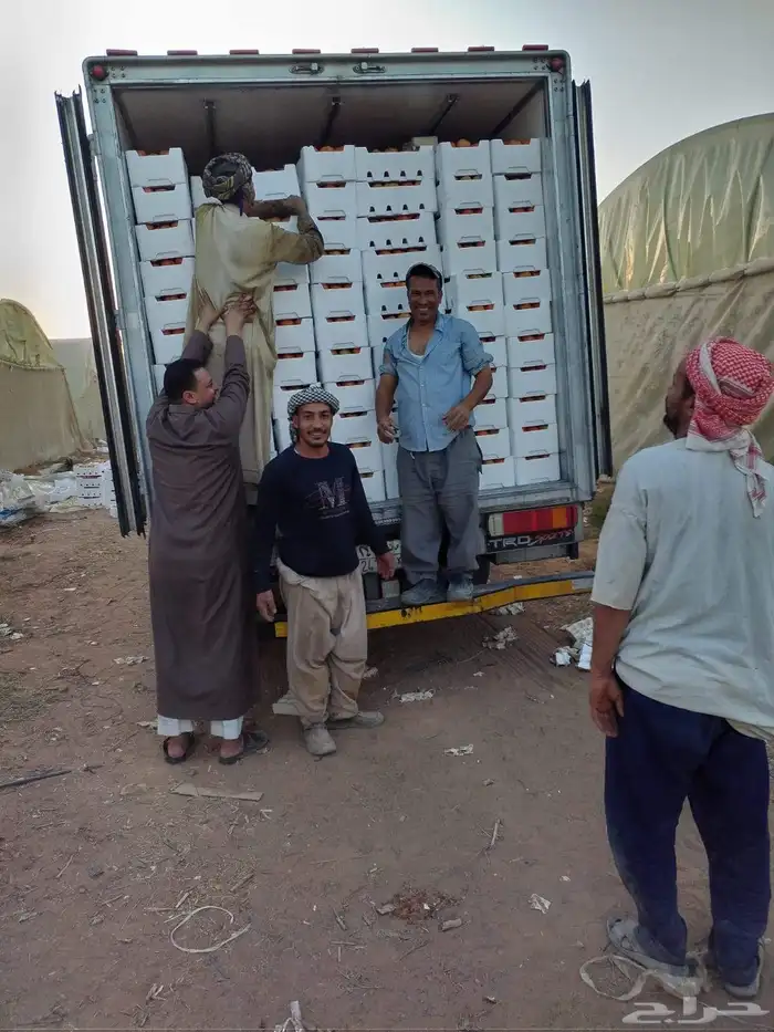 مشروع متميز لرجال وسيدات الأعمال 3