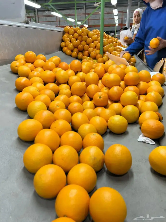 للاستثمار والمشاركه فى نشاط متميز 0