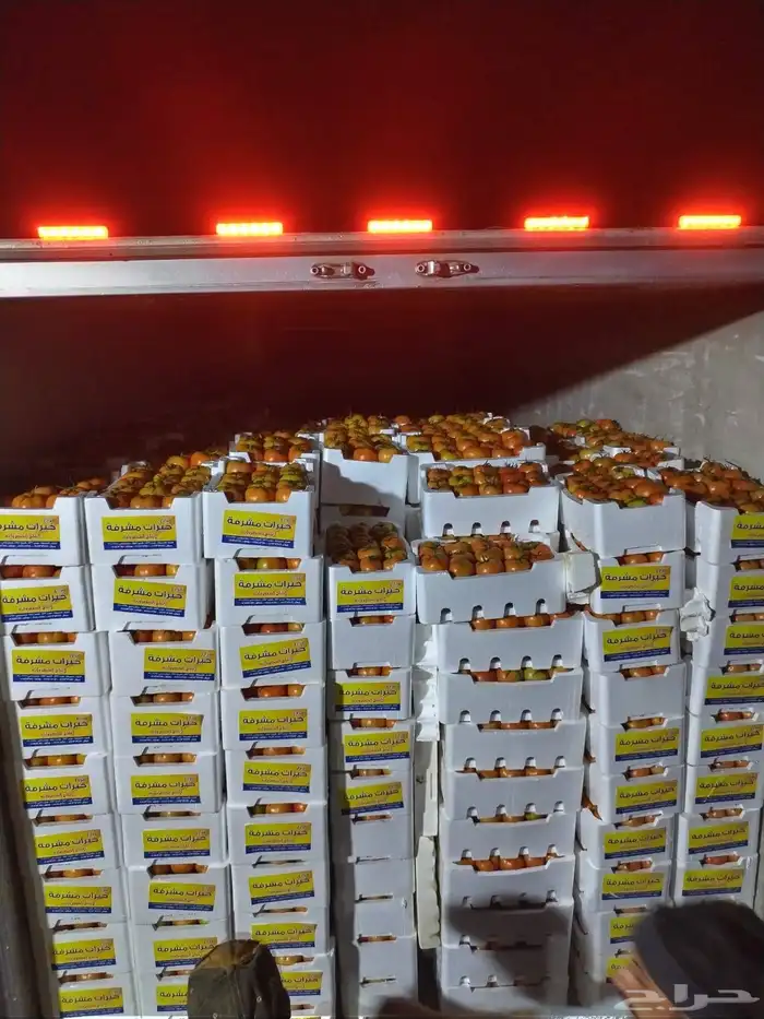 للاستثمار والمشاركه فى نشاط متميز 5