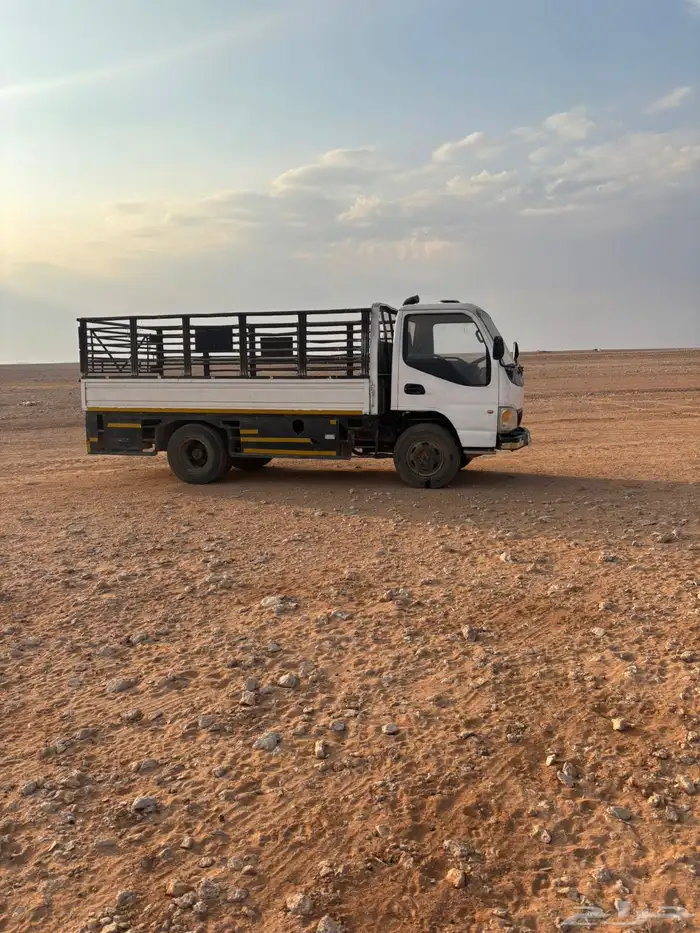 دينه جاك 2008 3