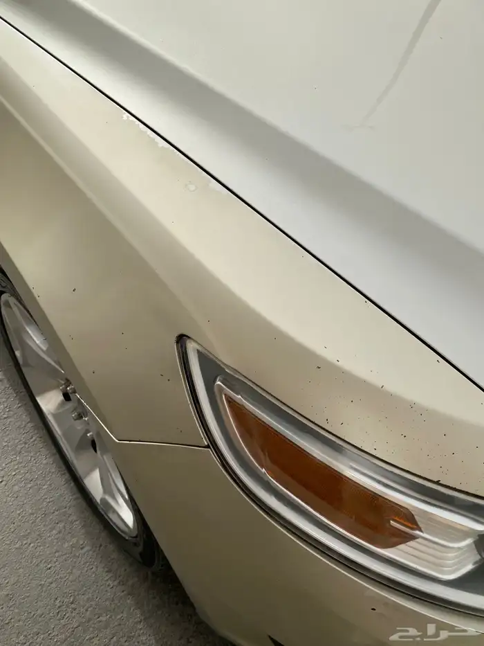 فورد تورس 2010 بودي بلد 2