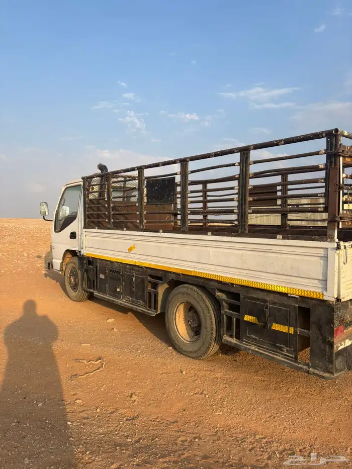 دينه جاك 2008 5