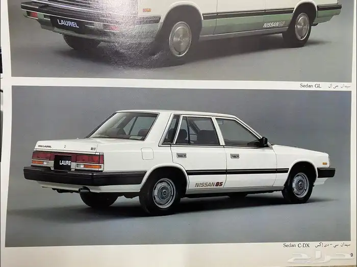 مطلوب نيسان لوريل 0