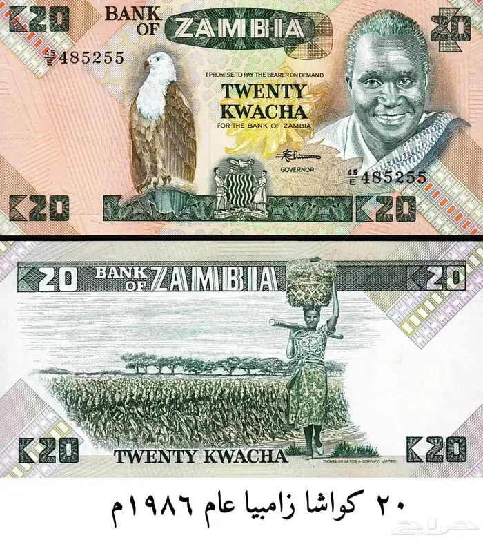 عملة الحبه 3 ريال 3