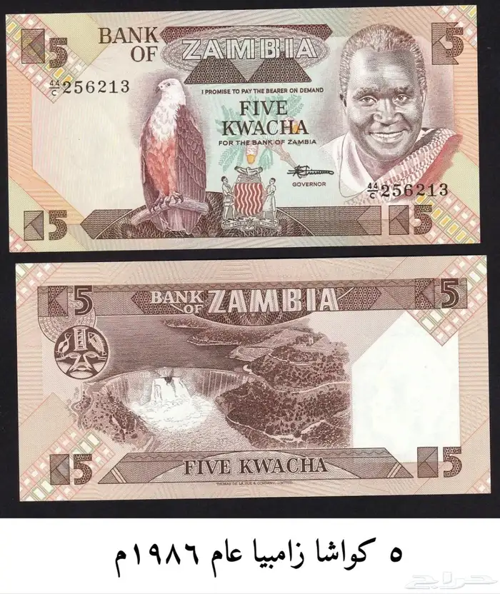 عملة الحبه 3 ريال 1