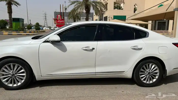 كادينزا2018 نظيف 1