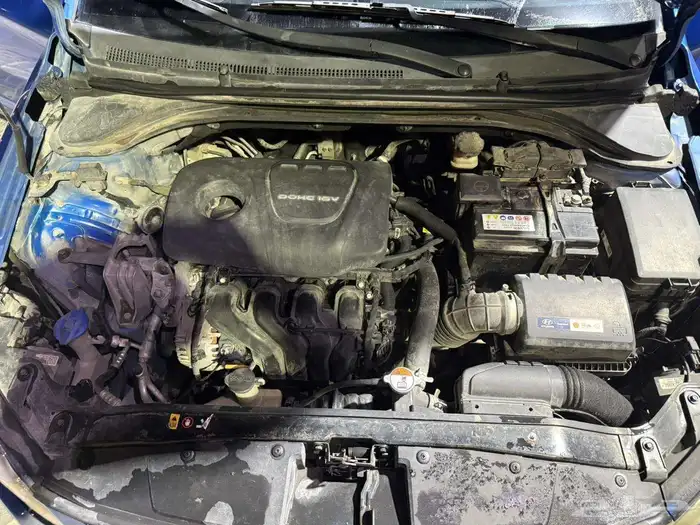 النترا 2017 10