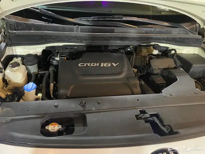 للبيع كرنفال ديزل 2019 14