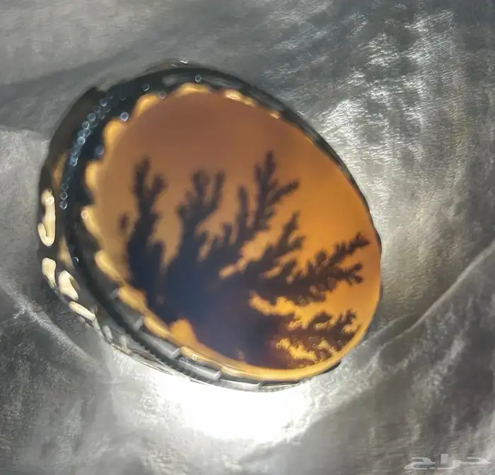 خاتم عقيق شجري نادر .. 0