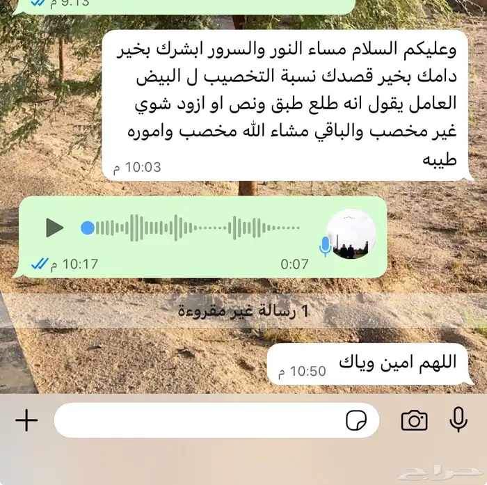 بيع بيض مخصب 19