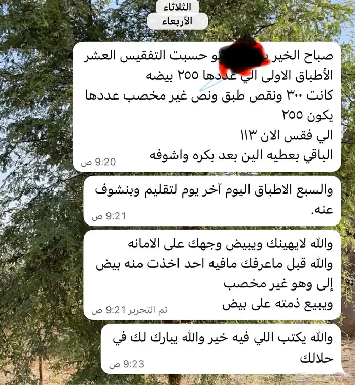 بيع بيض مخصب 20