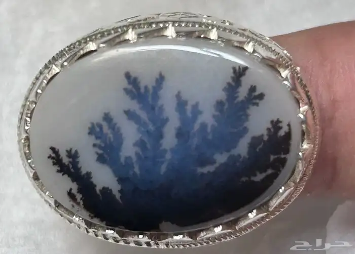 خاتم عقيق شجري نادر .. 1