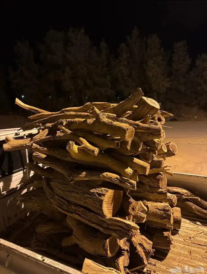 حطب سمر مستورد 1