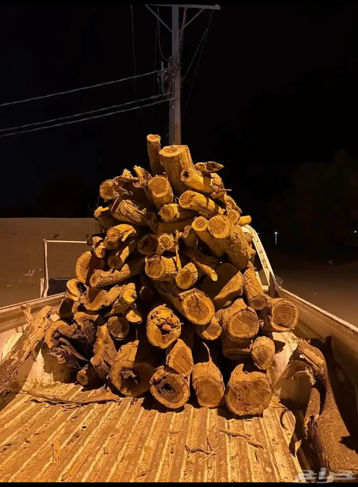 حطب سمر مستورد 0