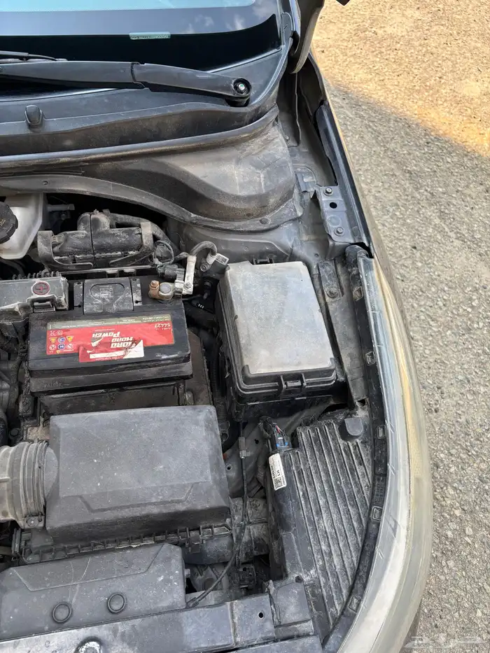 اكسنت 2022 ممشى 131 17