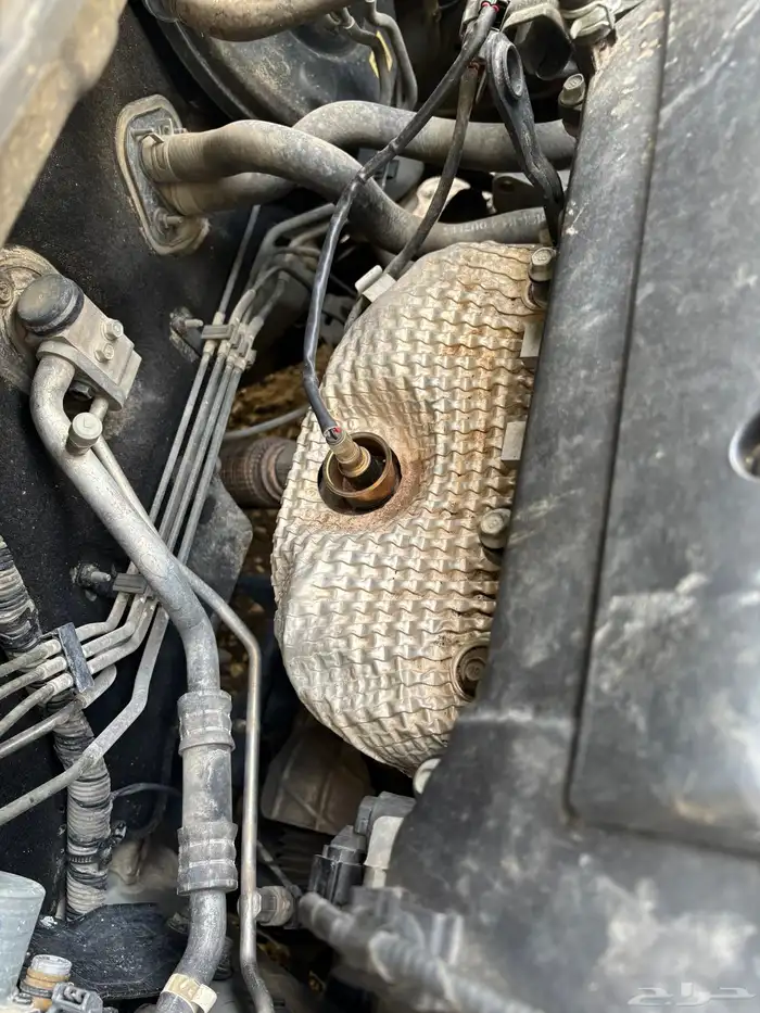 اكسنت 2022 ممشى 131 26