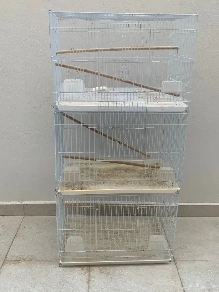 أقفاص انتاج مقاس 601 2