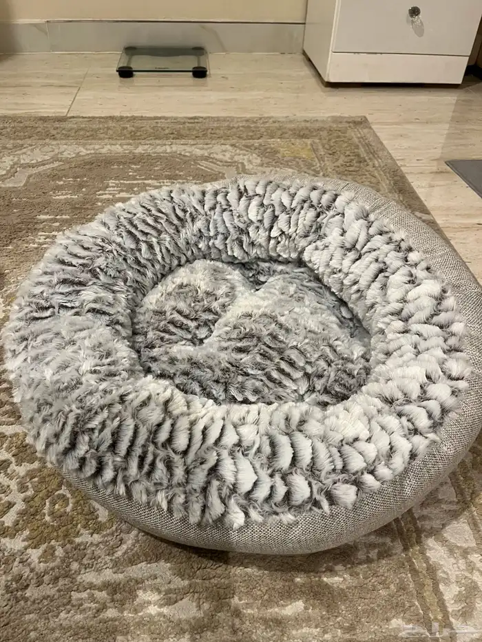 مستلزمات قطط 4