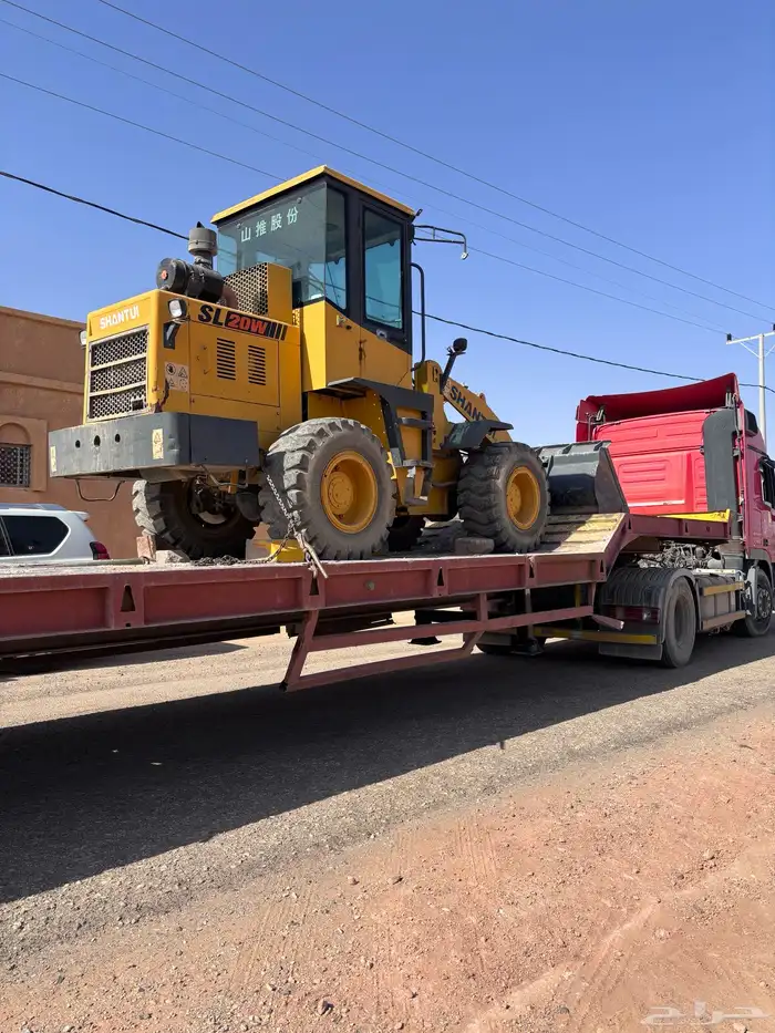 شيول شنتوي2016. صيني للبيع 15