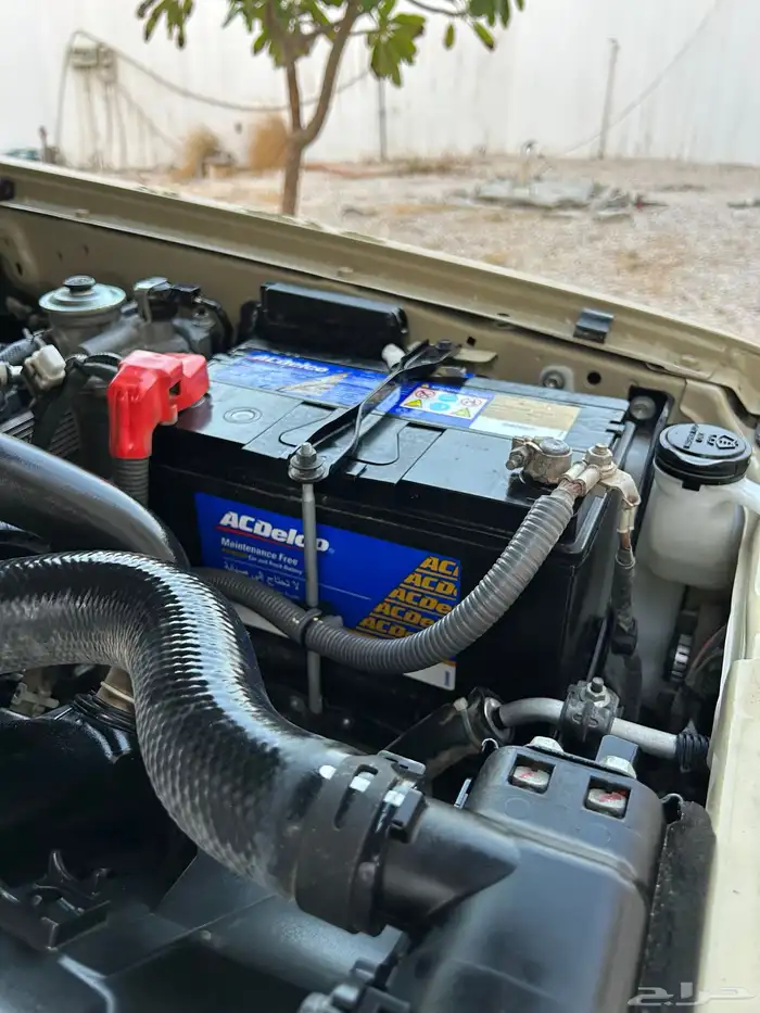 شاص ديزل غمارتين كويتي 2022 61