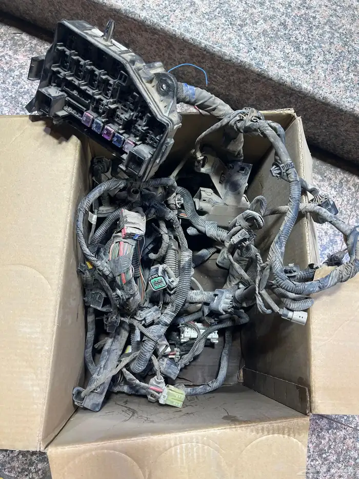 ظفير اكسنت من موديل 12 وطالع 2