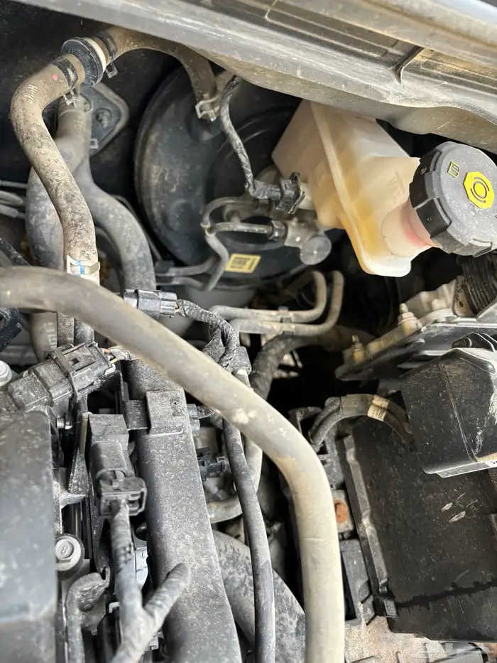 اكسنت 2022 ممشى 131 25