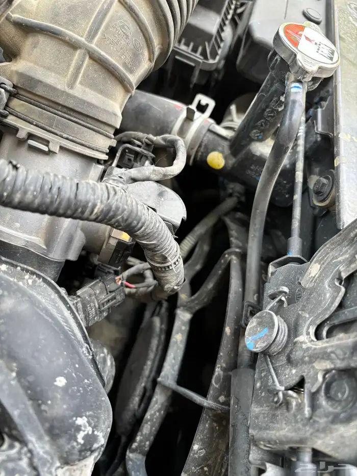 اكسنت 2022 ممشى 131 23