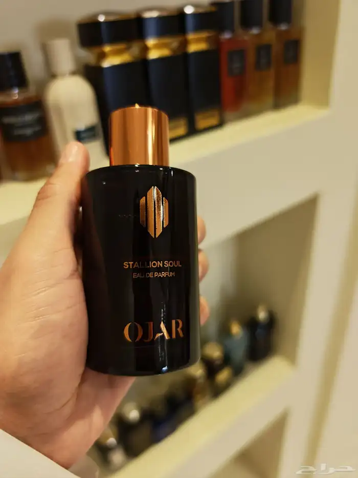 عطر بولقاري (Bvlgari empyr) و عطر اوجار (ojar) 2