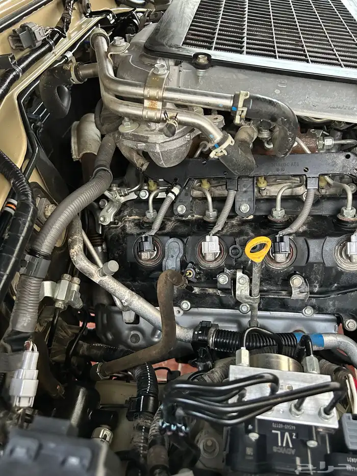 شاص ديزل غمارتين كويتي 2022 65