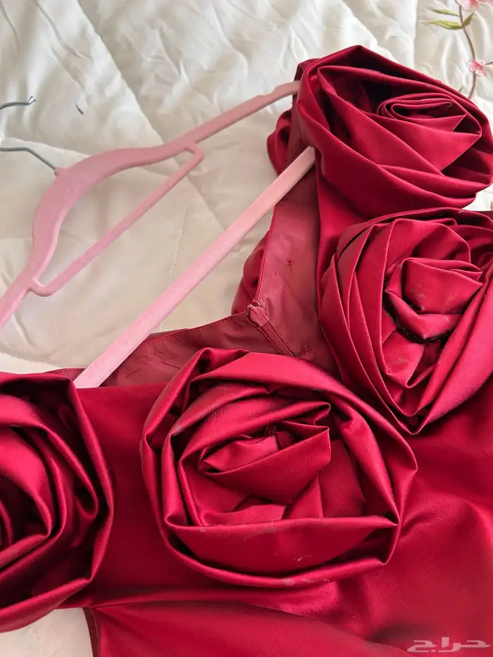 فستان فخم كلفني حول الفين تفصيل وقماش 3