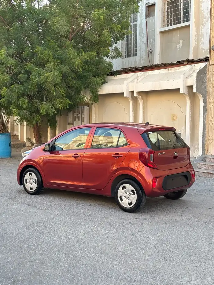 للبيع كيا بيكانتو 2020 5