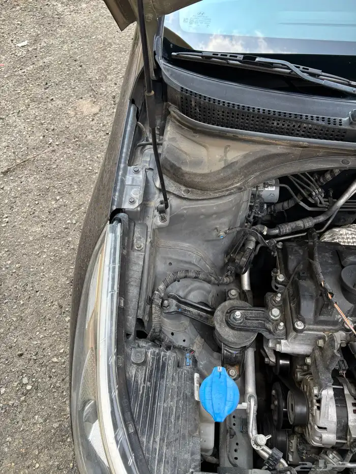 اكسنت 2022 ممشى 131 19