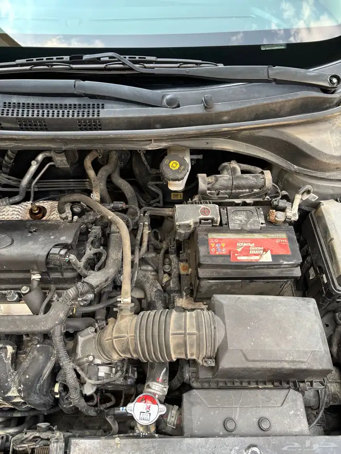 اكسنت 2022 ممشى 131 18