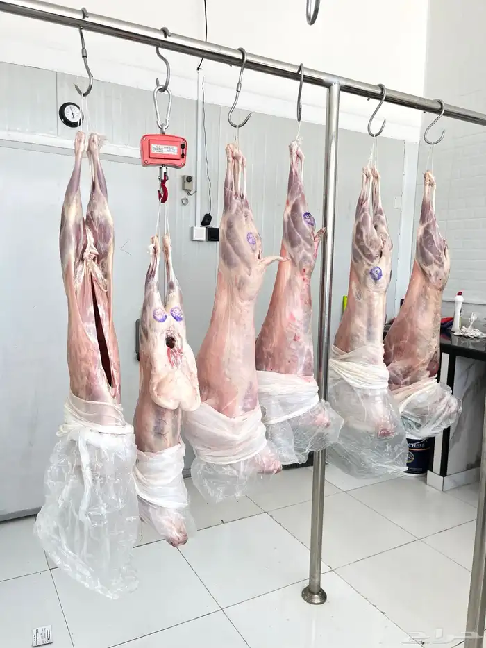 عروض علي اللحوم بأرخص الأسعار واعلي جودة 1
