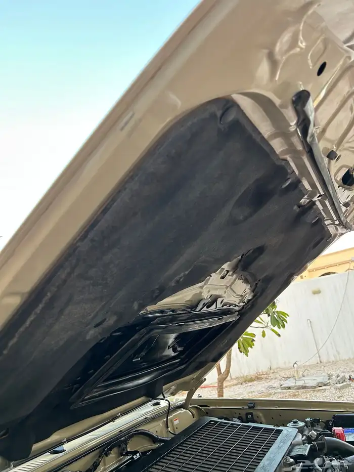 شاص ديزل غمارتين كويتي 2022 58