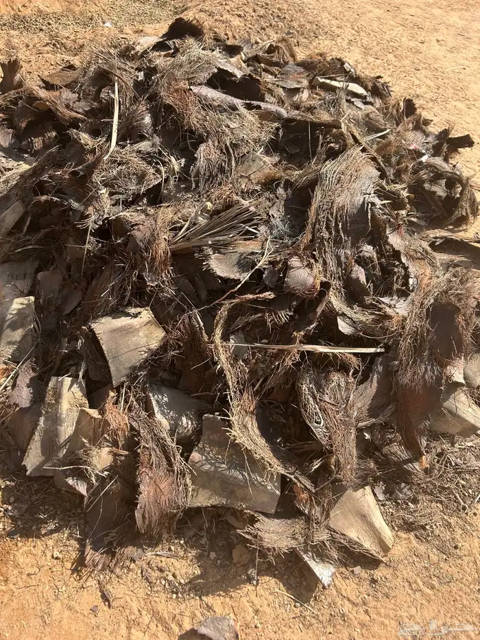 كرب نخل مجاني 1