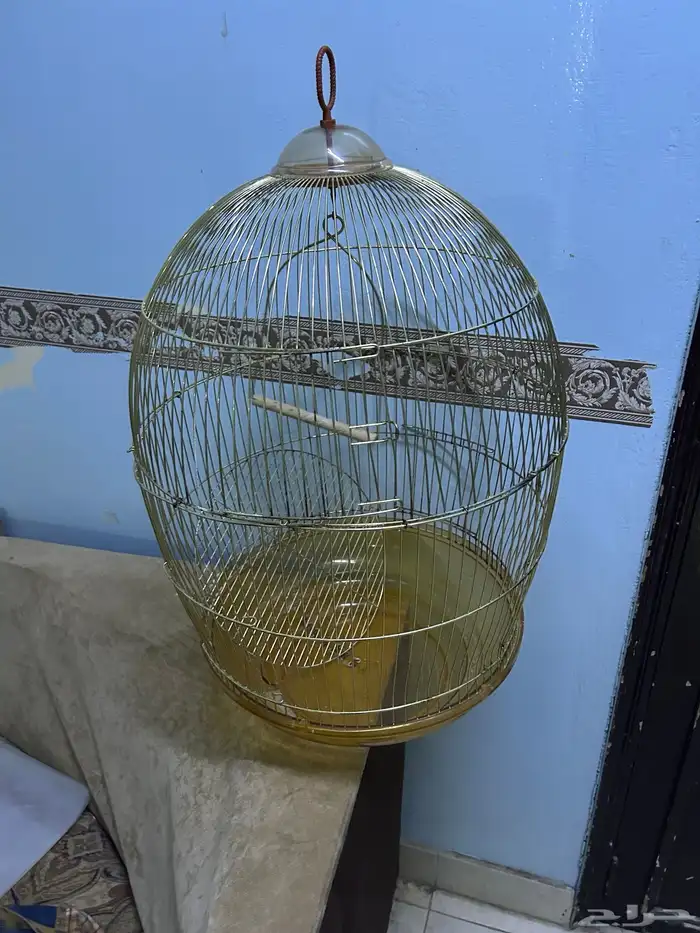 سرير هزاز ومكوات بخاروحوض سمك وقفص كبير 3